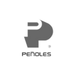 vicaconstrucciones_penoles